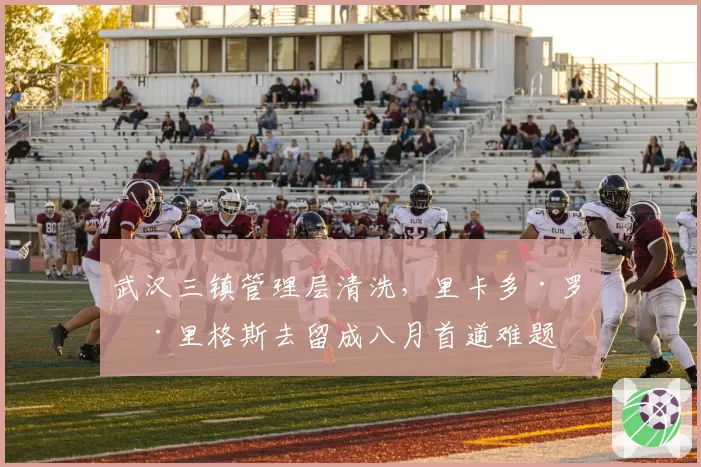 武汉三镇管理层清洗，里卡多·罗德里格斯去留成八月首道难题