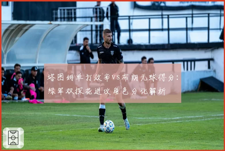 塔图姆单打效率vs布朗无球得分：绿军双探花进攻角色分化解析
