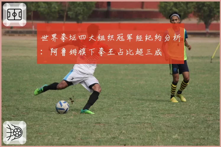 世界拳坛四大组织冠军经纪约分析:阿鲁姆旗下拳王占比超三成