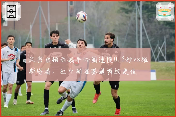 汉密尔顿雨战平均圈速慢0.5秒vs维斯塔潘，红牛潮湿赛道调校更佳