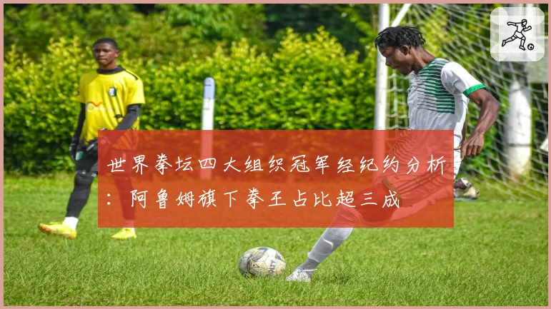 世界拳坛四大组织冠军经纪约分析:阿鲁姆旗下拳王占比超三成